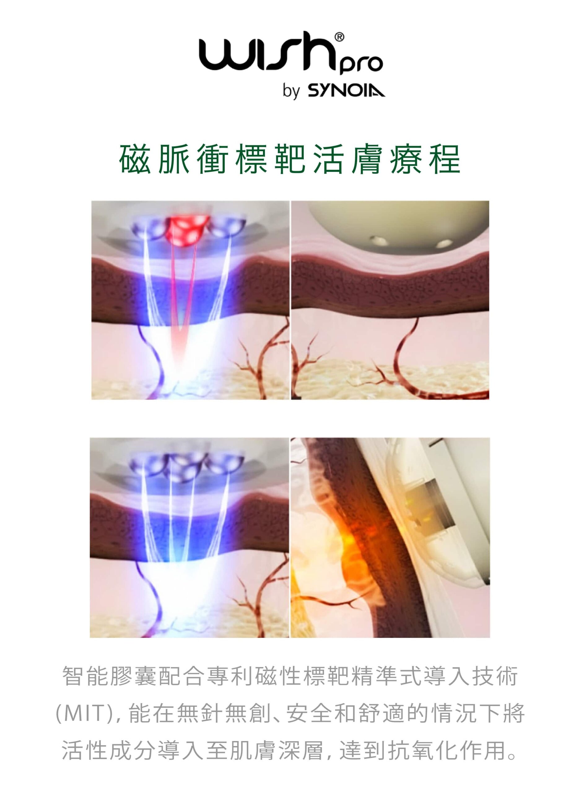 wishpro