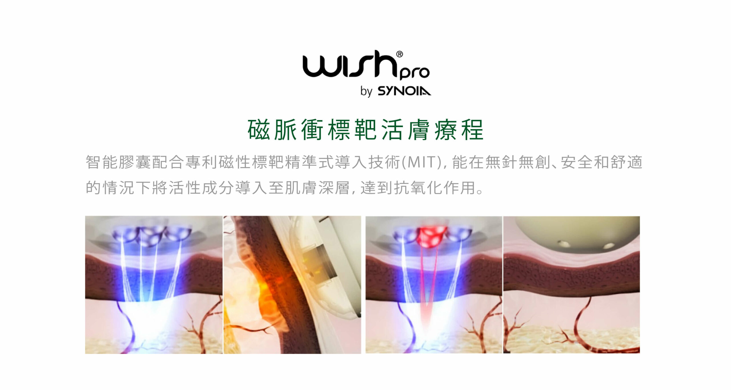wishpro
