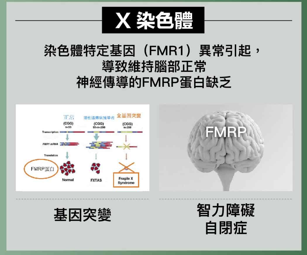 kmfx