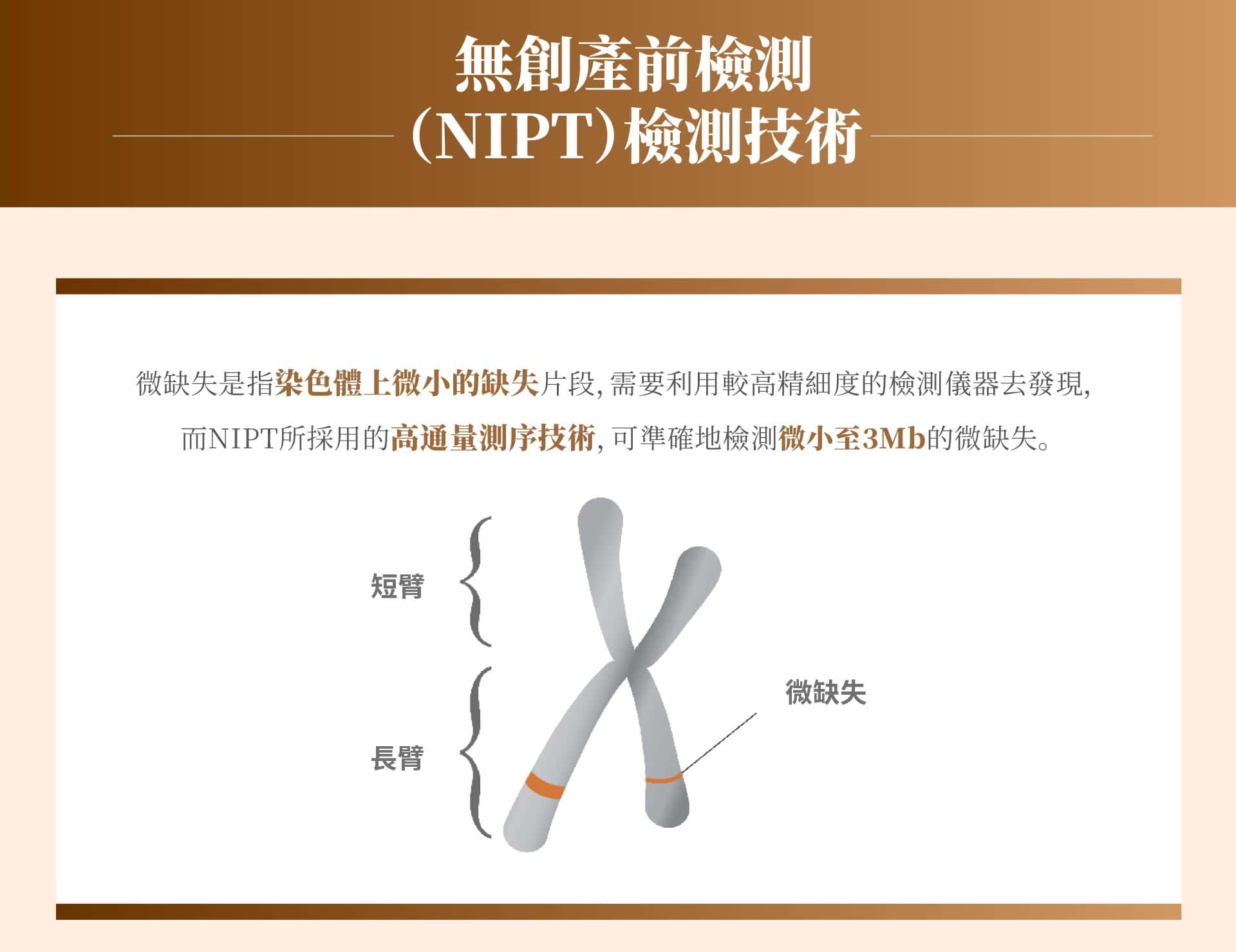 kt21