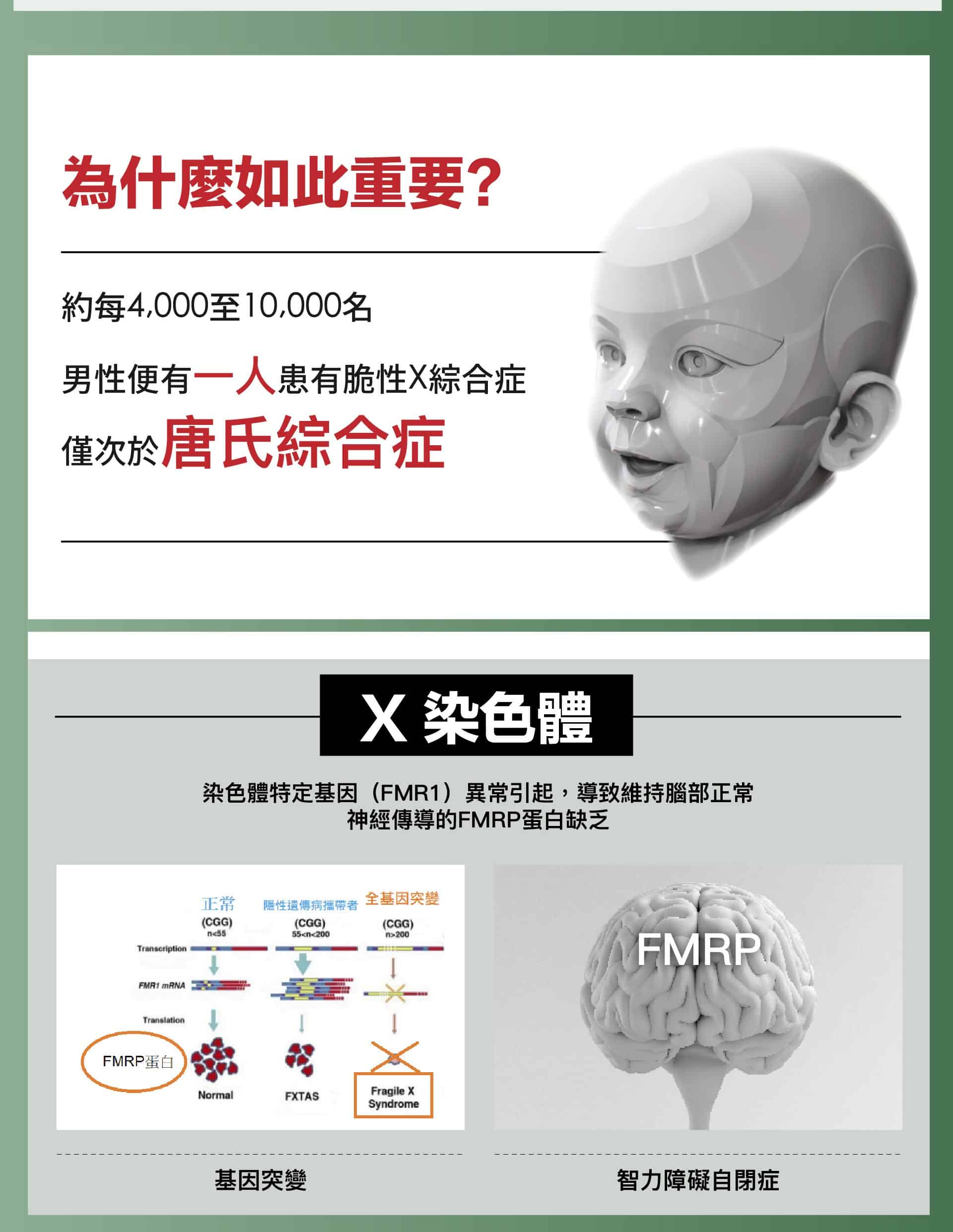 kmfx